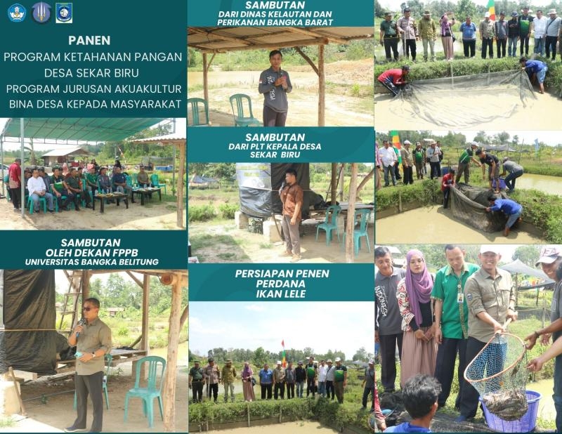 Panen Program Ketahanan Pangan diDesa Sekar Biru